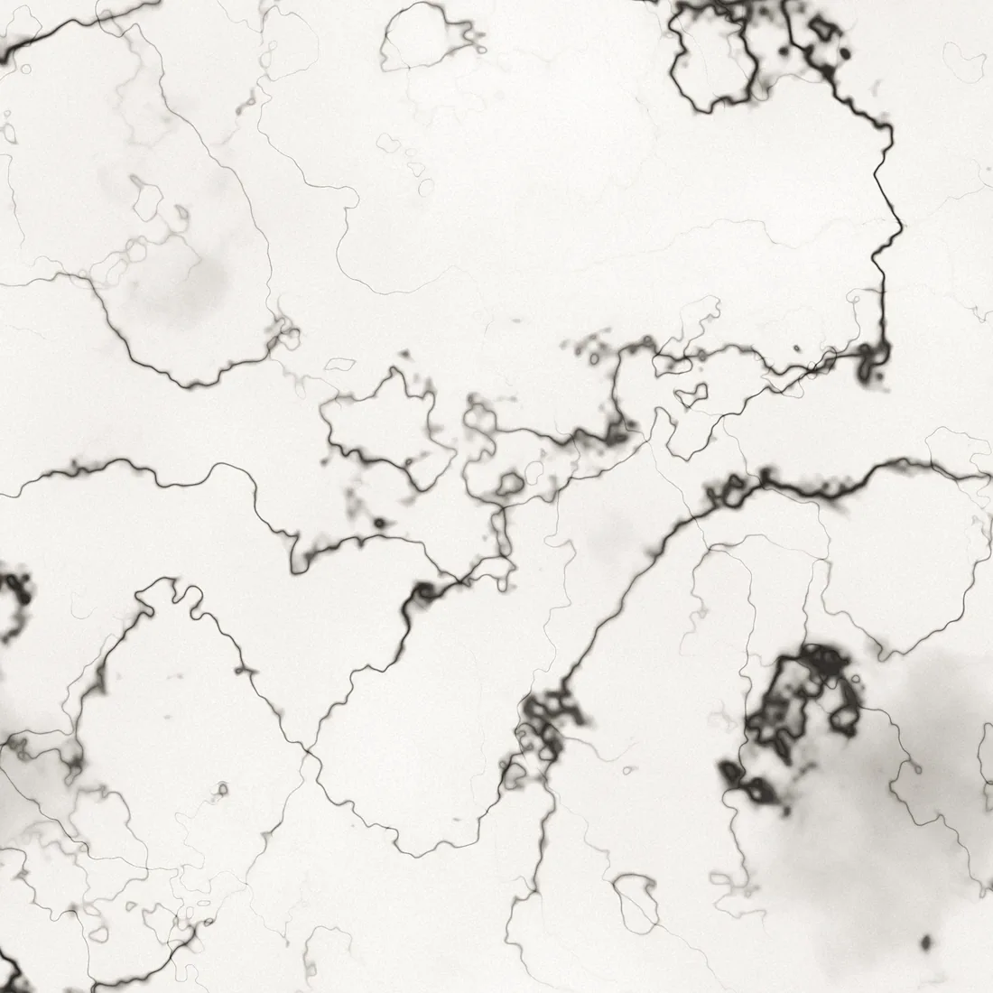 Close-up of white marble showing dark grey veining branching across a polished surface.